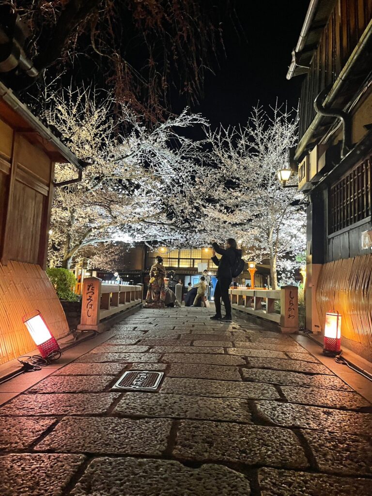 京都の2023年、桜の夜間ライトアップのオススメ3選をご紹介。人気シーズンの春で特に綺麗と人気な東山区エリアのおすすめ観光スポット。清水寺、祇園白川。知恩院