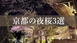 京都の2023年、桜の夜間ライトアップのオススメ3選をご紹介。人気シーズンの春で特に綺麗と人気な東山区エリアのおすすめ観光スポット。清水寺、祇園白川。知恩院